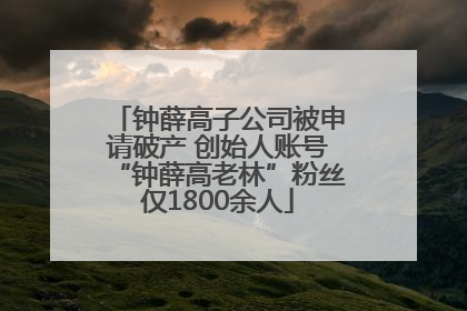 钟薛高子公司被申请破产 创始人账号“钟薛高老林”粉丝仅1800余人
